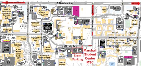usf mailing address