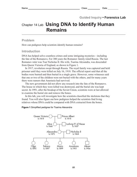 using-dna-to-identify-human-remains-answers Ebook Kindle Editon