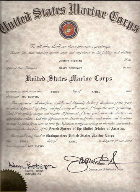 usmc promotion warrant template blank Reader