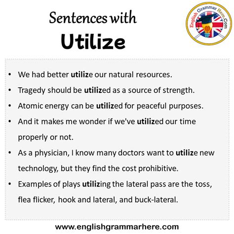 utilize sentence