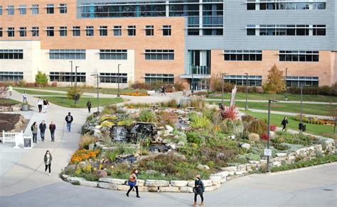 uw whitewater enrollment
