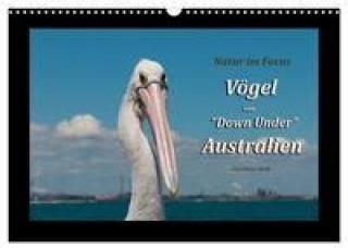 v gel down under australien wandkalender Reader