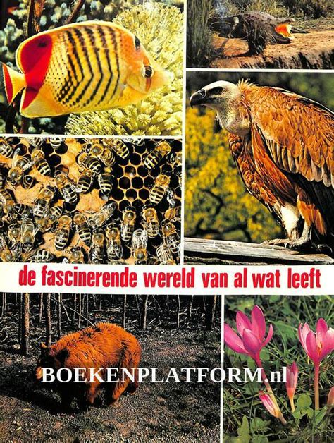 van al wat leeft biologiemethode voor de katholieke lagere school 4e klas PDF