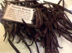 vanilla beans price per kg