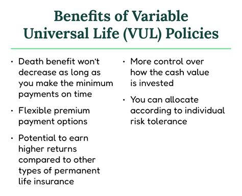 variable universal life policy