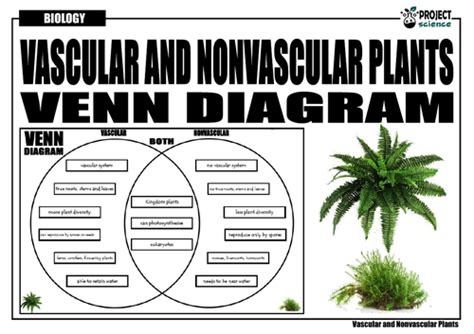 vascular and nonvascular plants venn diagram Reader