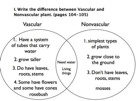 vascular and nonvascular plants venn diagram Reader