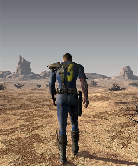 vault dweller fallout