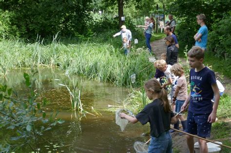 veel vangen jong beginnen Kindle Editon