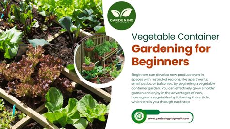 vegetable container gardening a quick start guide Doc