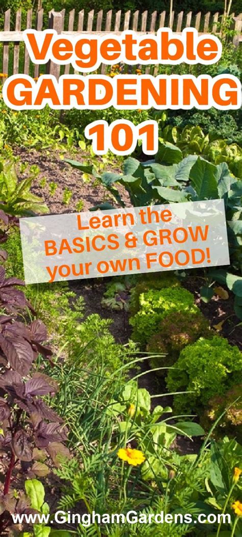 vegetable gardening 101 how to plant and grow a beautiful organic vegetable garden Epub