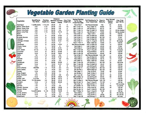 vegetable gardening tips complete guide on growing vegetables Doc