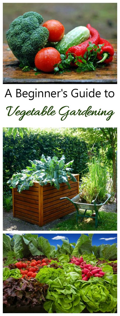 vegetable gardening tips complete guide on growing vegetables Doc