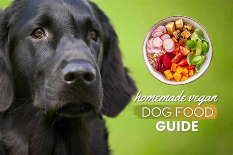 vegetarian diet for dogs