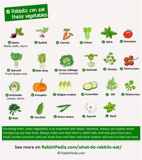 veggies for rabbits