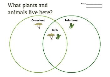 venn diagram comparing grassland and tropical rainforest Reader