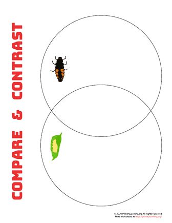 venn diagram for ant and ladybug PDF