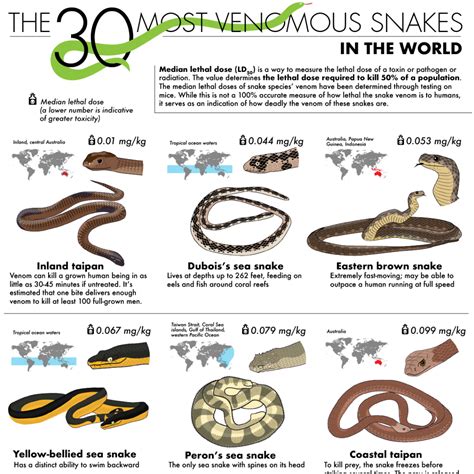 venomous snakes of the world Ebook Epub