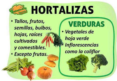 verduras vs vegetales