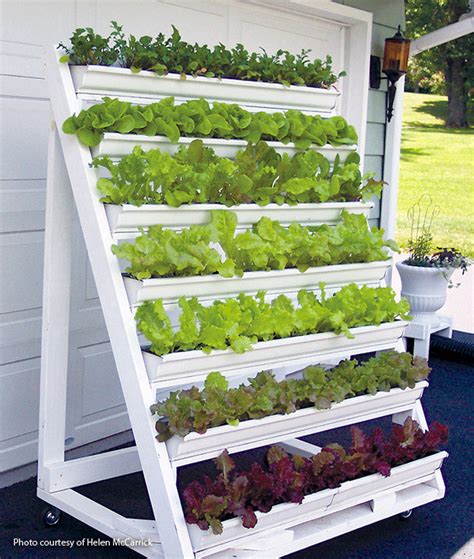 vertical gardening more garden in less space gardening basics for beginners series Reader