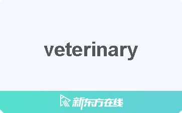 vet 中文