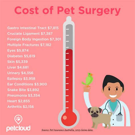 vet prices near me