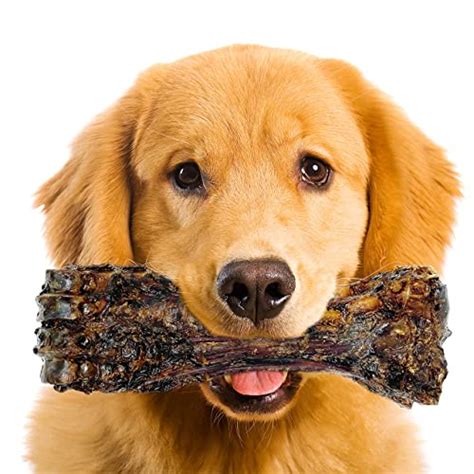 vet recommended dog chews for aggressive chewers