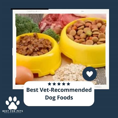 vet recommended puppy food