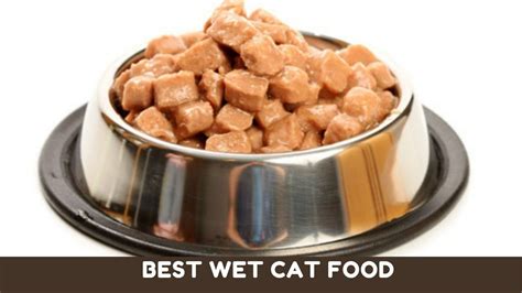 vet recommended wet cat food