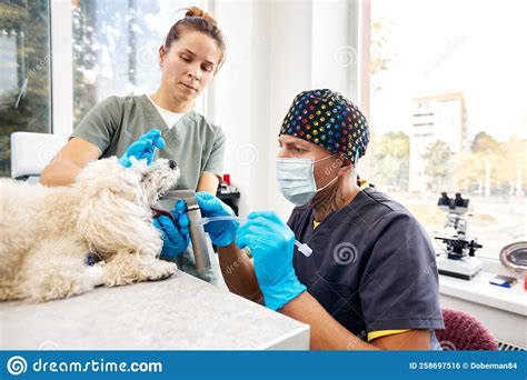 veterinários