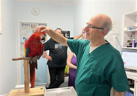 veterinarian for birds near me