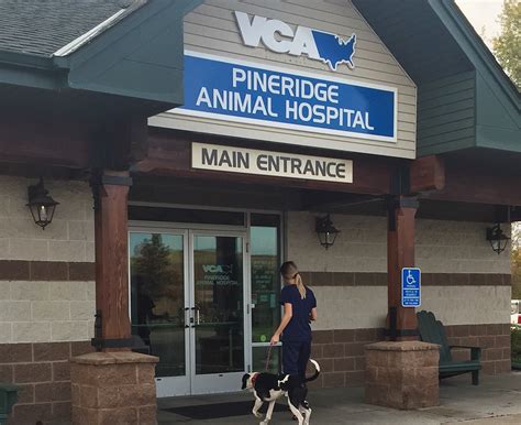 veterinarians hospital near me