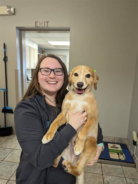 veterinarians in deer park