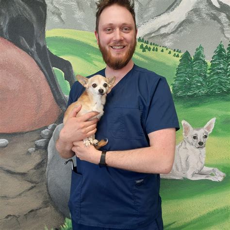 veterinarians in fort collins co