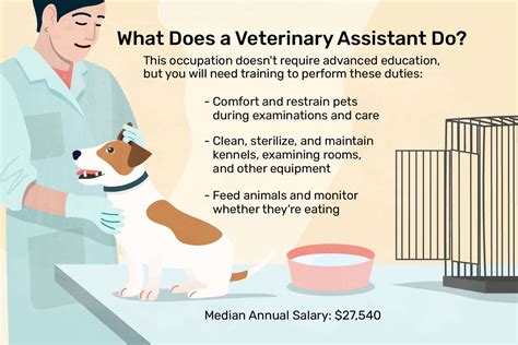 veterinary assistant positions