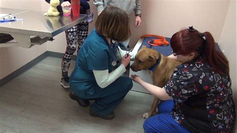 veterinary clinic near me open now