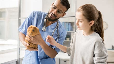 veterinary degree singapore