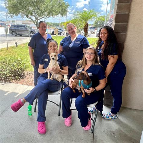 veterinary healthcare associates fl