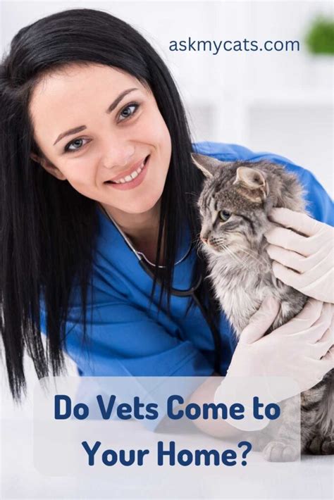 vets that come to your home