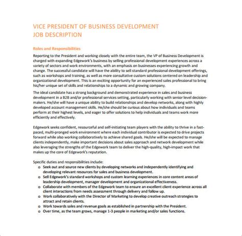 vice president business development job description