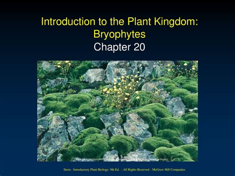 video of introduction ecology of bryophytes lecture Epub