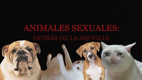 videos gratis de zoofilia Doc