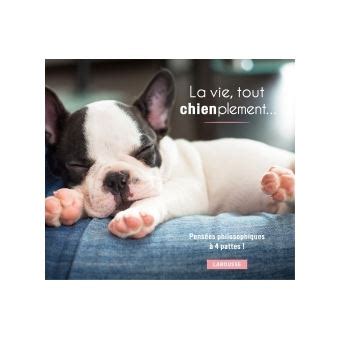 vie tout chienplement cynthia copeland Kindle Editon