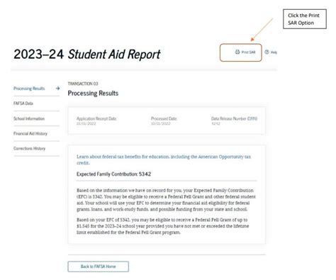 view sar on fafsa