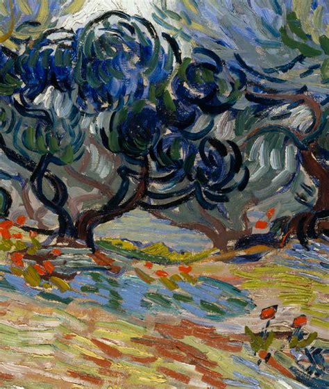 vincents trees paintings and drawings by van gogh Reader