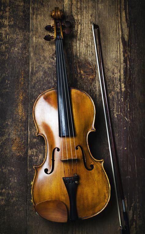 viola