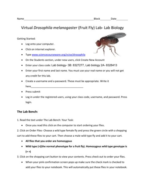 virtual lab breeding mutation fruit flies answers Epub