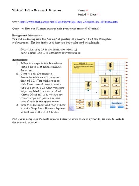 virtual lab punnett squares answer sheet Epub