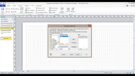 visio fields meaning