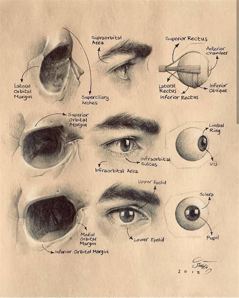 vision and the art of drawing Doc